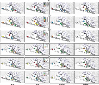 Trace Metal Residues in Swimming Warrior Crab Callinectes bellicosus: A Consumption Risk